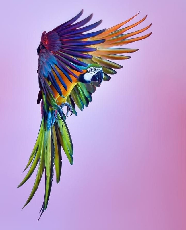 user7045_673e5ecdc1c8