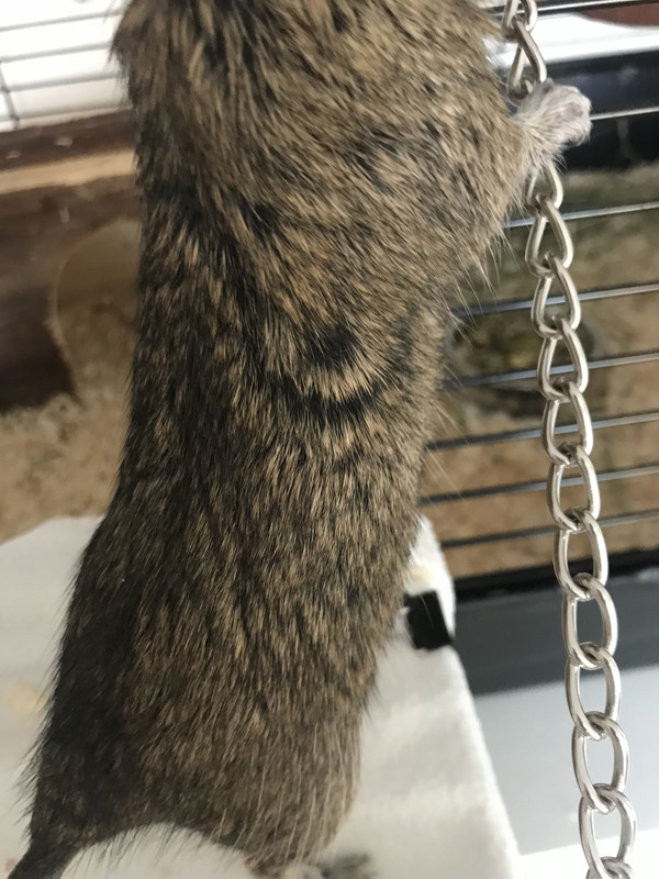 4AD098D7-3AE2-47EF-897F-4216513476A4