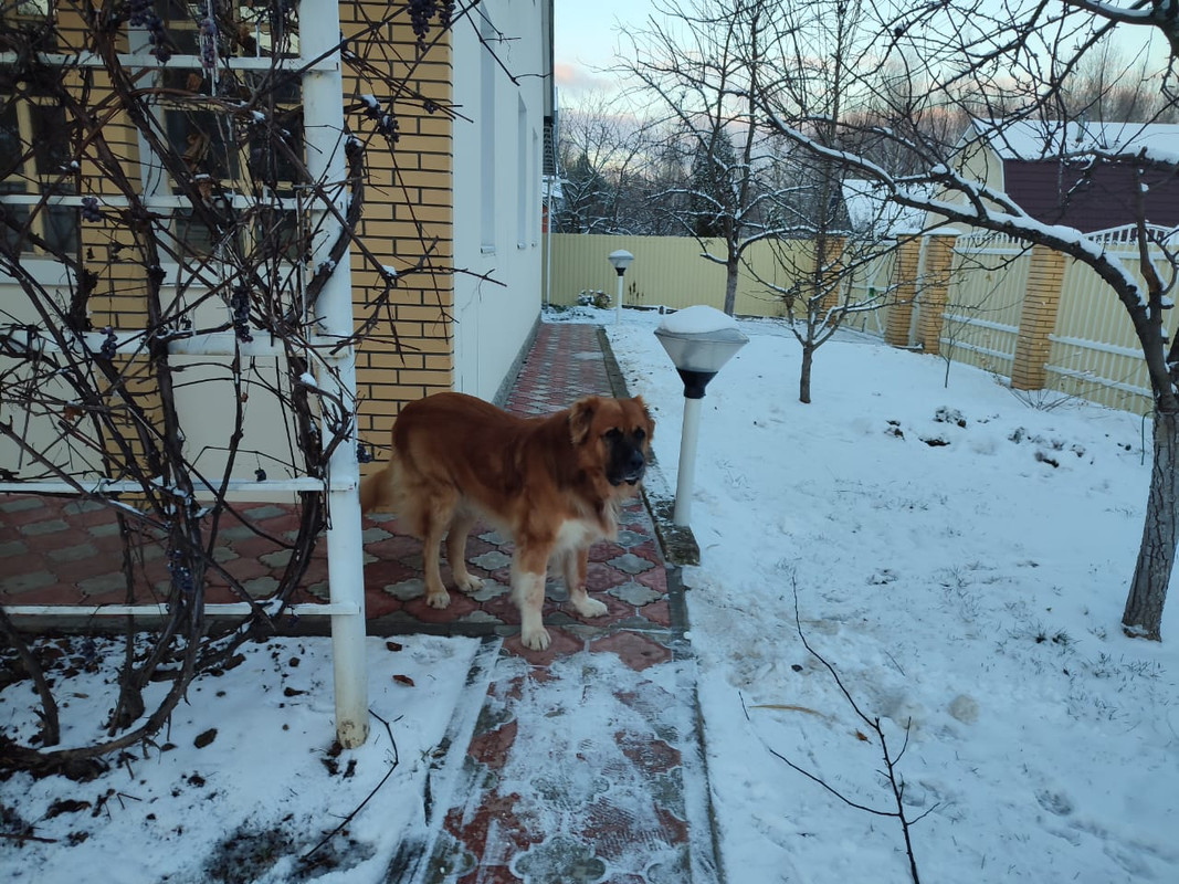 3CA64507-8EDF-41A1-AC56-D7B5DE8C4F75