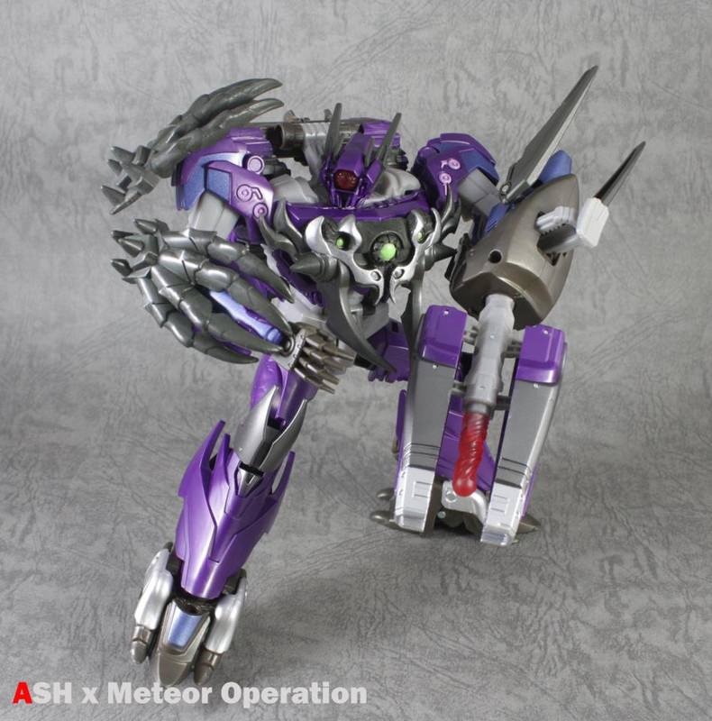 217505_321645081296237_1497010944_n