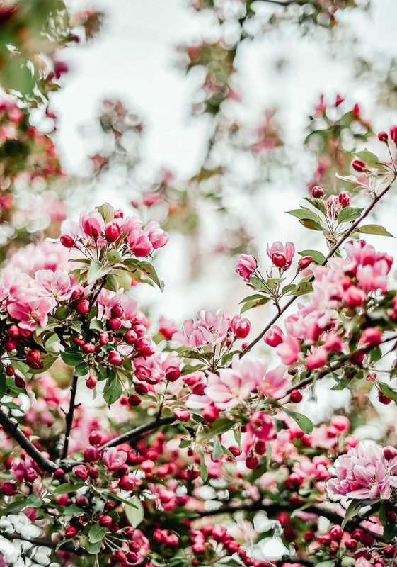 Screenshot_20240424_214311_Threads