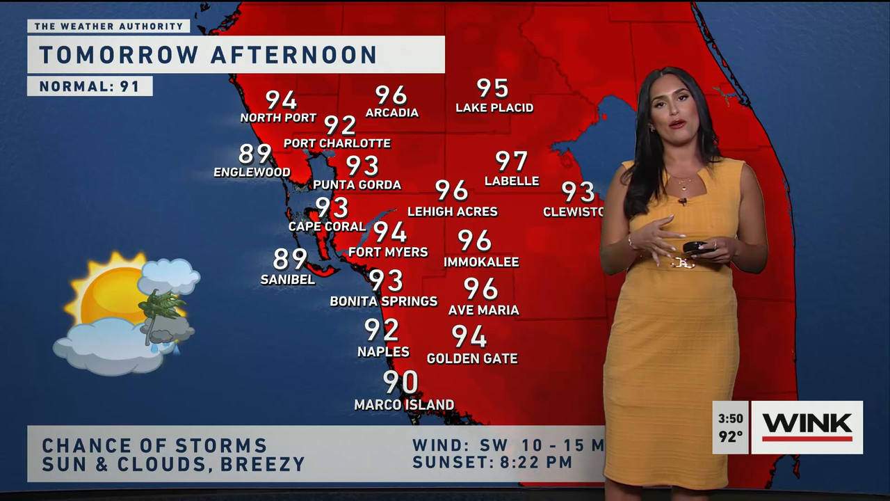 06.15 - 20.00.00 - WINK News at 3pm..ts_snapshot_00.52.39.248