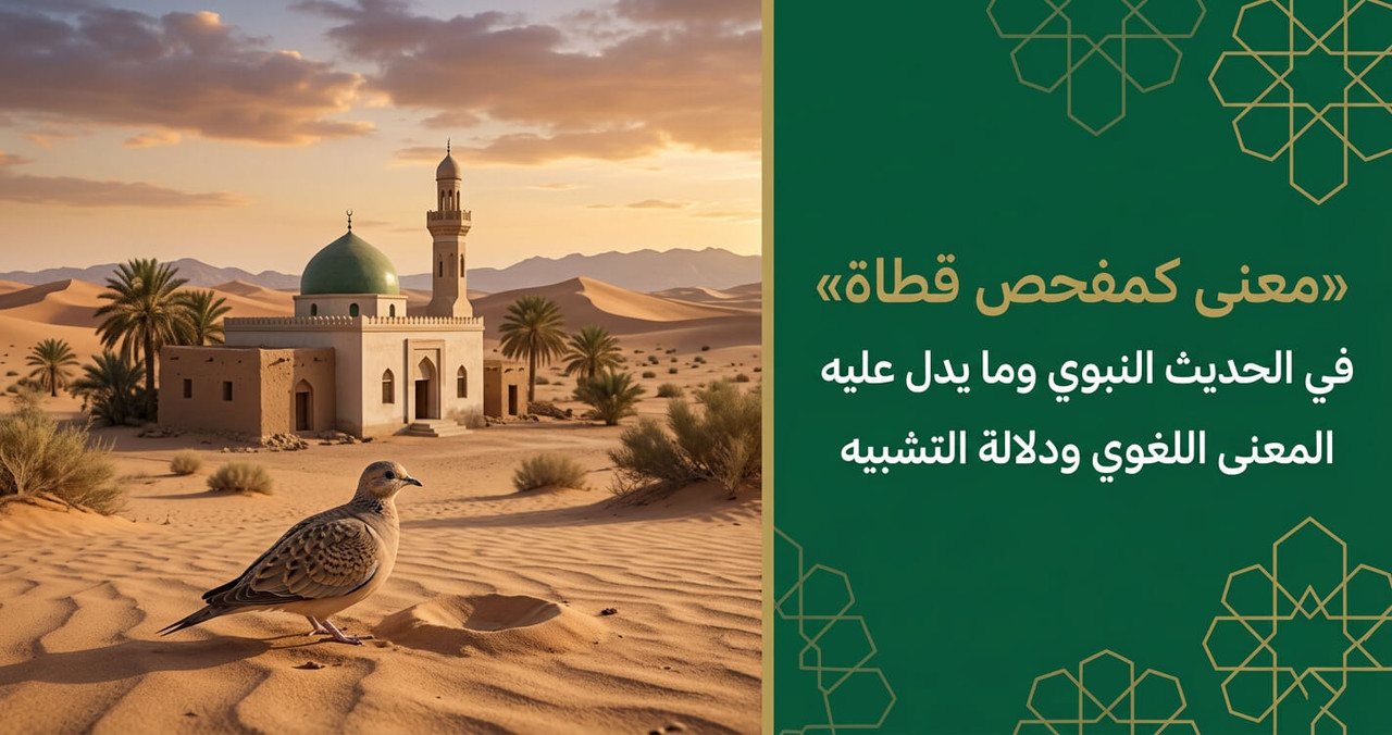 كمفحص قطاة معنى
