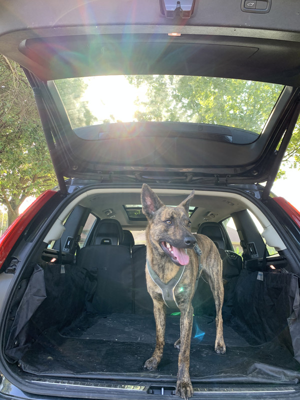 E2422ED6-402B-42E7-9870-A64F44808799