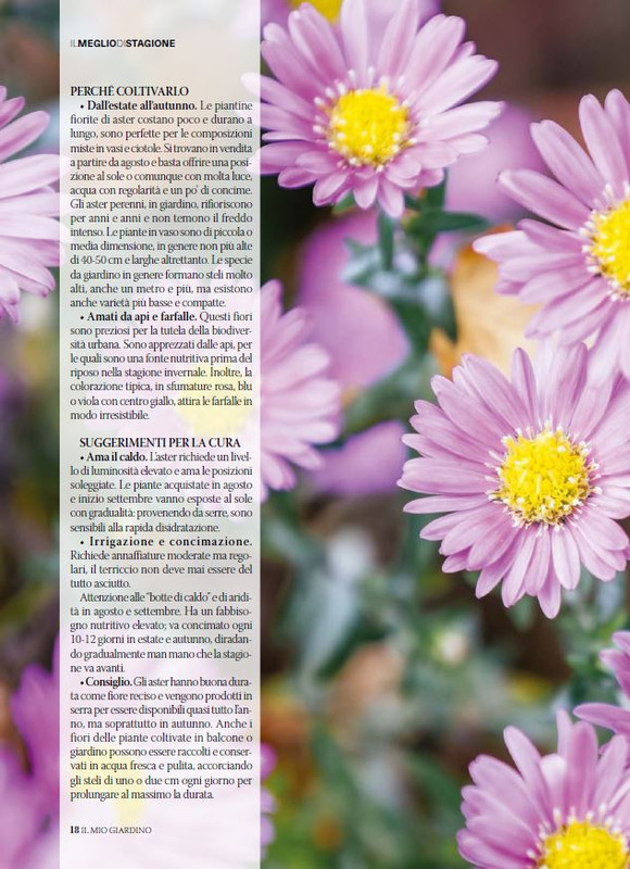 Il Mio Giar Ago-Set 2025 (5)