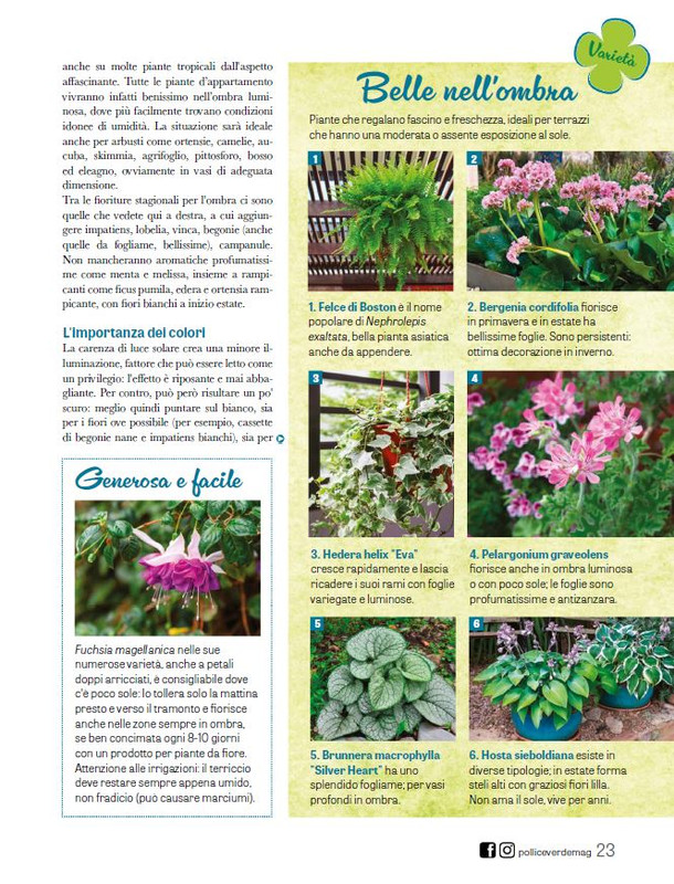 Pol Ver Lug 2025 (8)