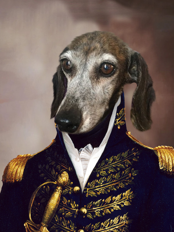 [Image: 12498-Le-General-D-armee-copy.jpg]