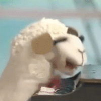 master-of-puppets-av1.gif