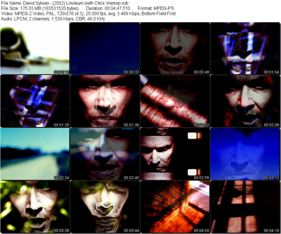 David Sylvian - (2002) Linoleum (with Chris Vrenna).vob_tn