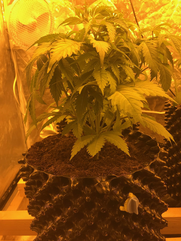 B9AD6FA4-5F0F-411E-BD79-1472508986BE