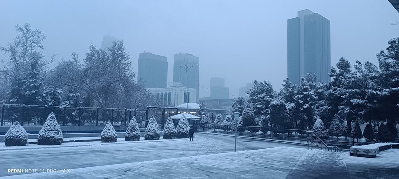 422258848-122132551640047363-7273286542059072522-n