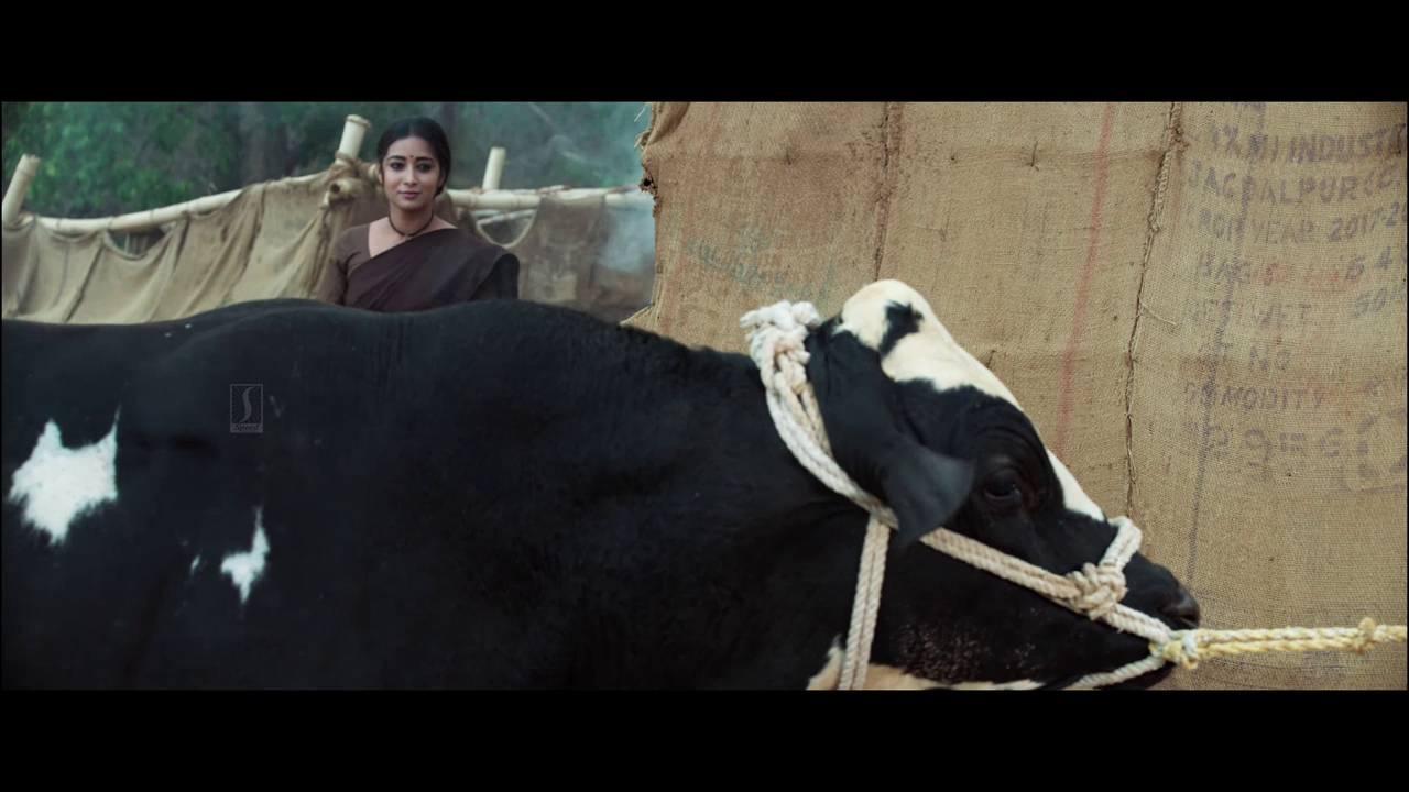 vlcsnap 2025 11 02 13h54m40s926