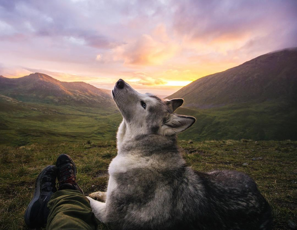 (JPEG Image, 1080?×?835 pixels) - Scaled (76%)