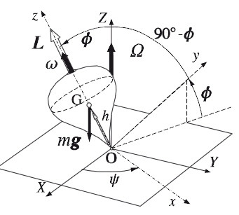 20250509-trottola-forze-fisica
