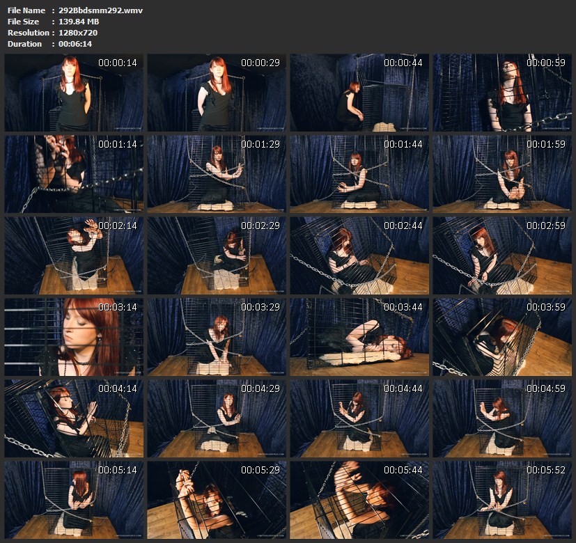 292Bbdsmm292.wmv