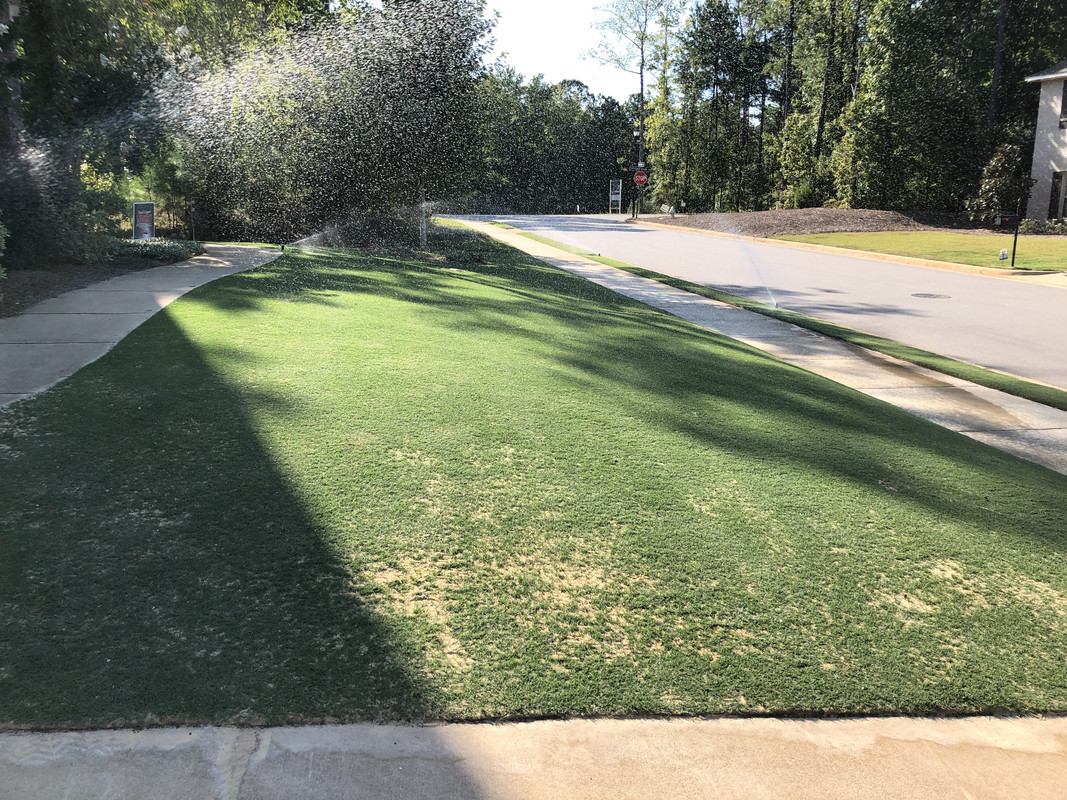 0BB3EDD9-BA86-429F-973A-F0064B542554