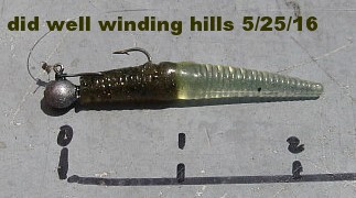 [Image: cone-tail-grub.jpg]