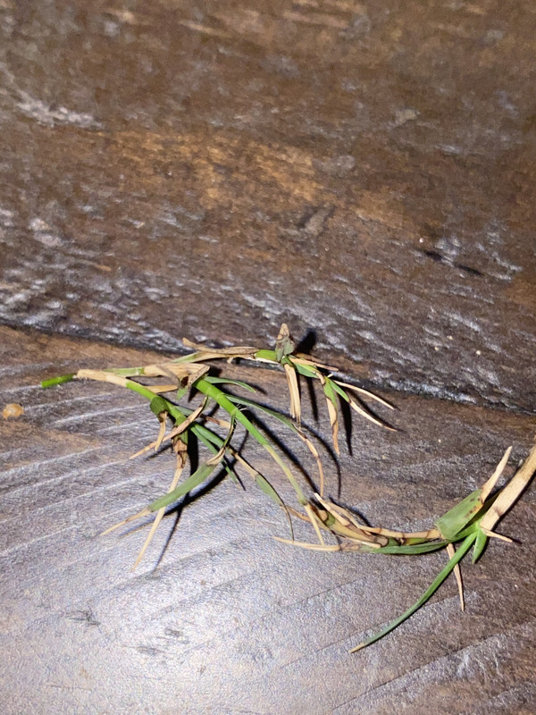 FF491D95-6194-479F-8D51-218D167B7954