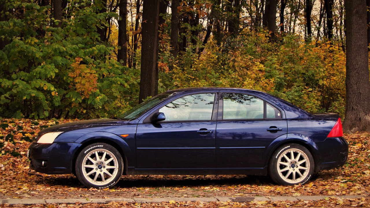 201121 IMG_4898 Абадон - Јесен Јајинци