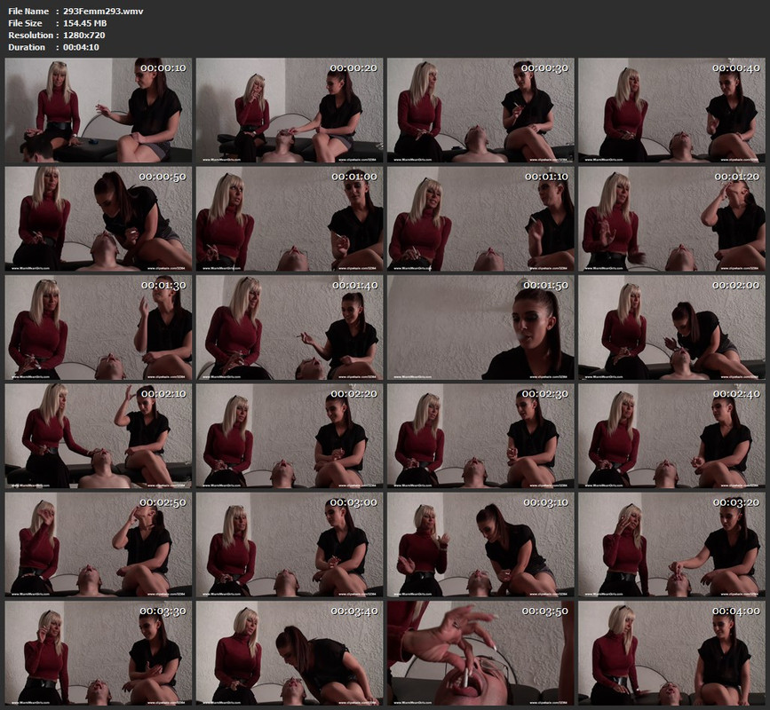 293Femm293.wmv
