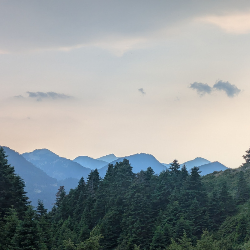 A view of a forest in the foreground with a mountain range in the back