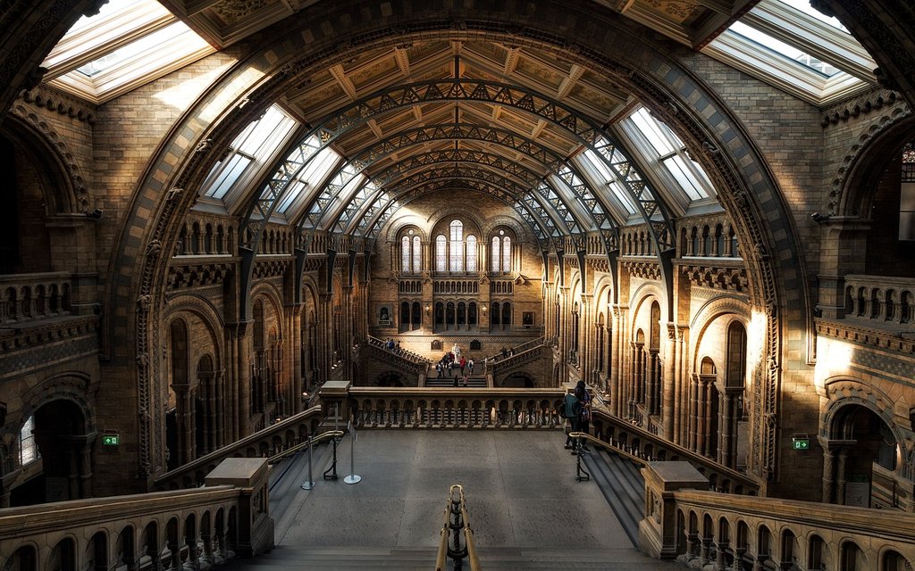 Brown-natural-history-museum.jpg