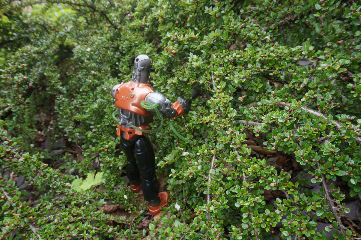 Toxic robot pruning trees and bushes. C47-AC6-A1-AF4-F-4566-8-B10-F78-C42-B7-ACE9