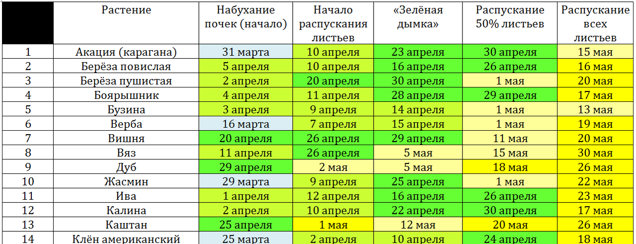 Снимок фенологии 31 мая ч1