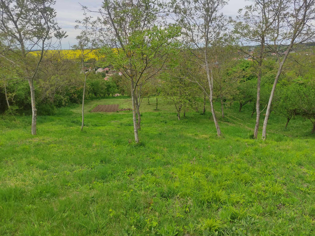 435702388_6672226012880516_2021090101272405937_n