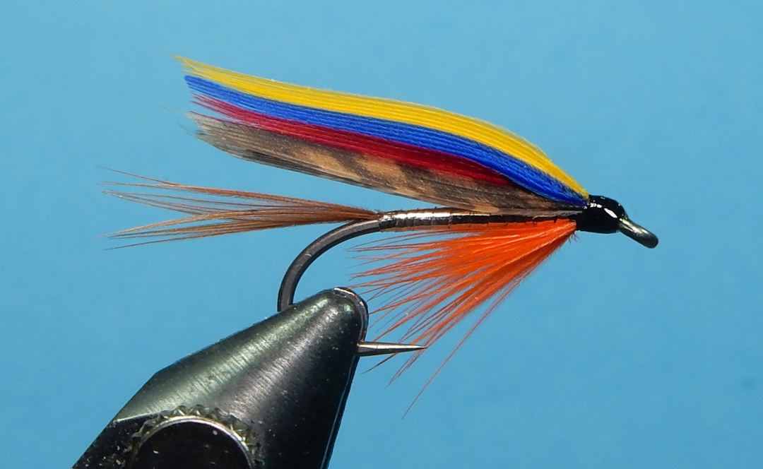 Old-Judge-1080.jpg