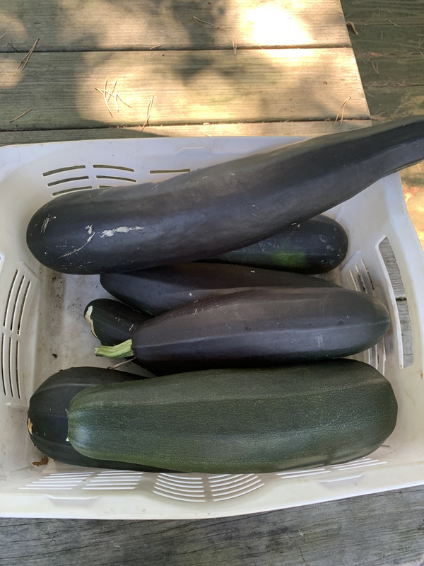 5A22EF0A-2B69-4DCF-9564-41A24E5B317F