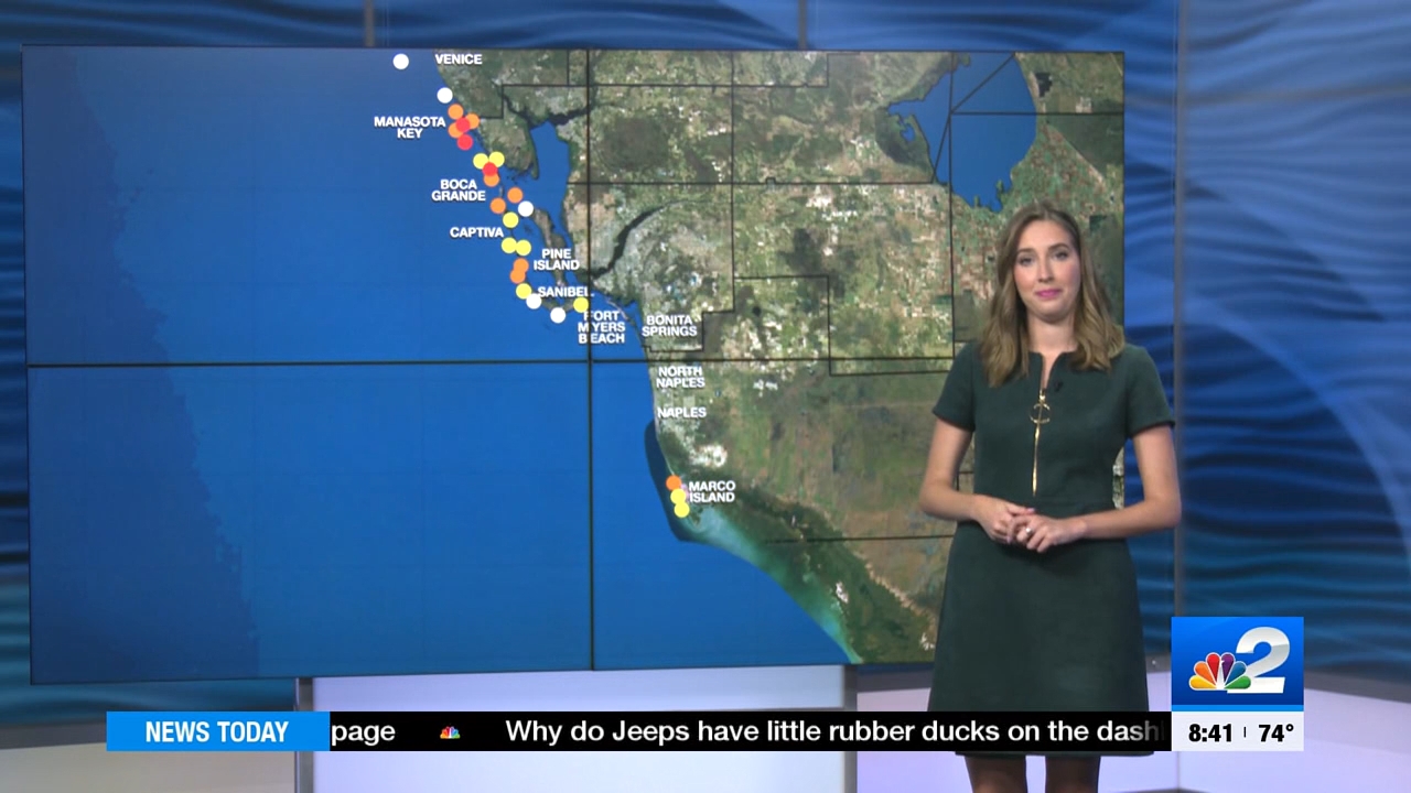04.08 - 13.30.00 - NBC 2 News Today - Saturday  ᴺᵉʷ..ts_snapshot_00.17.34.182