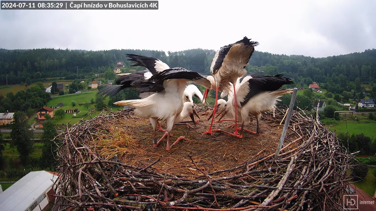 Tiešraidē no uzņēmuma KARA stārķa skursteņa Bohuslavicē pie Trutnovas 9-2-29 screenshot