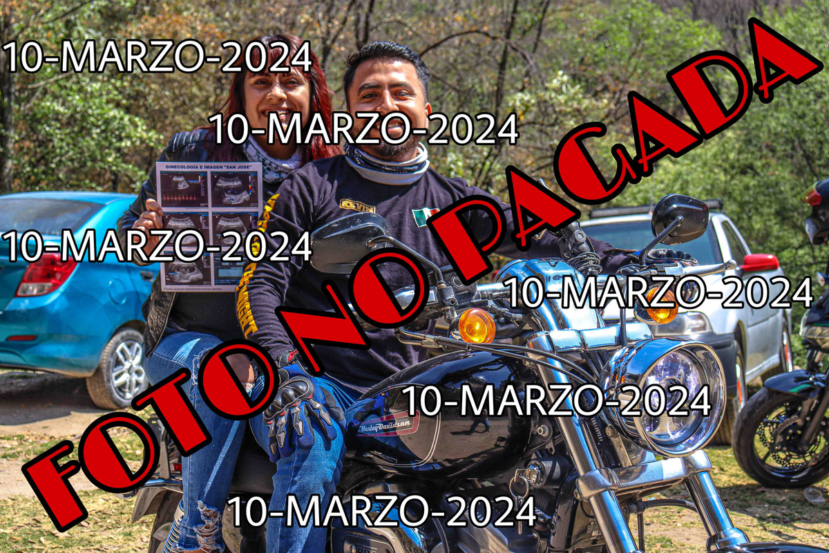 SC 100 — Postimages