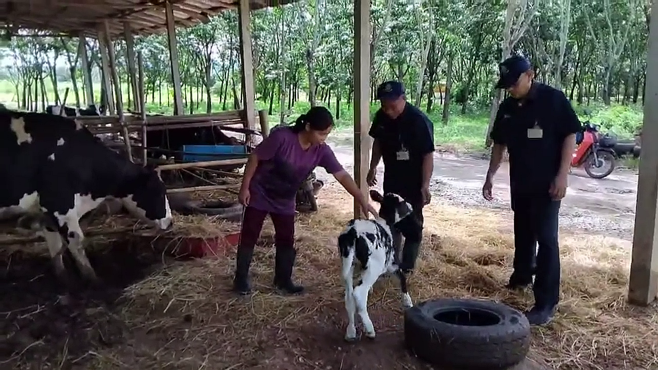 vlcsnap-2025-09-23-16h34m32s814