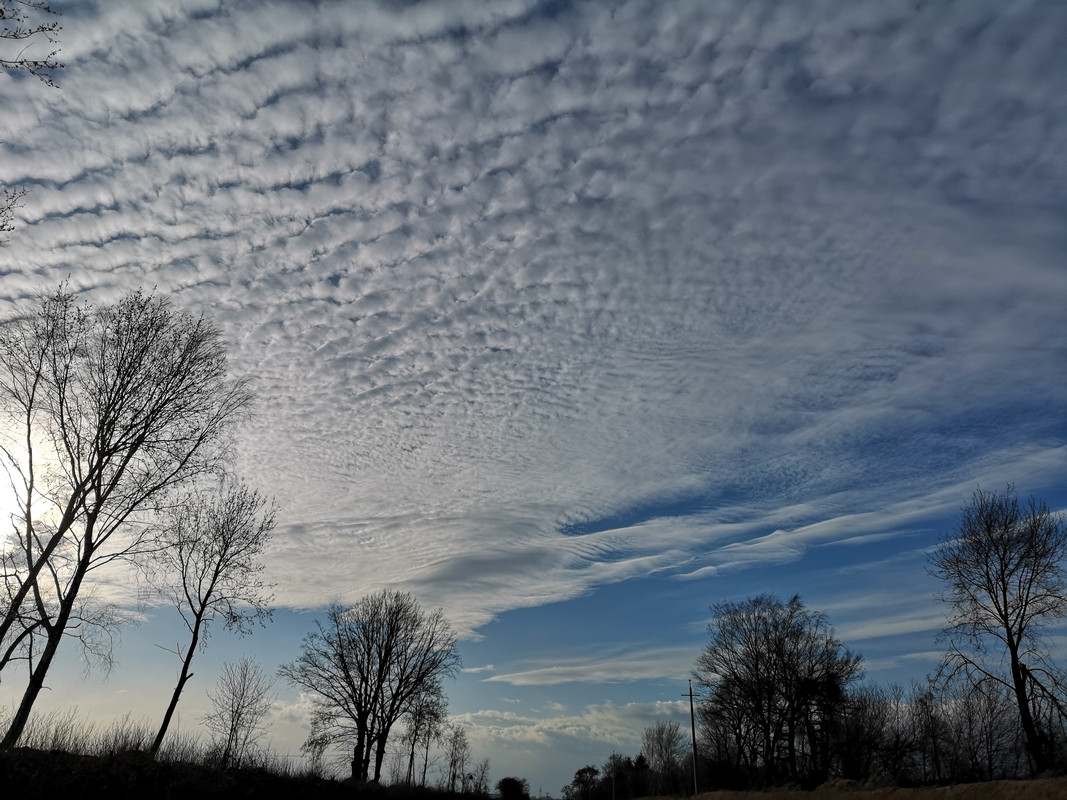 [Obrazek: IMG-20190326-161021.jpg]