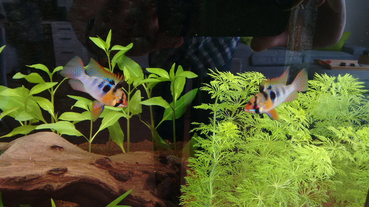 IMG_20160808_114643448