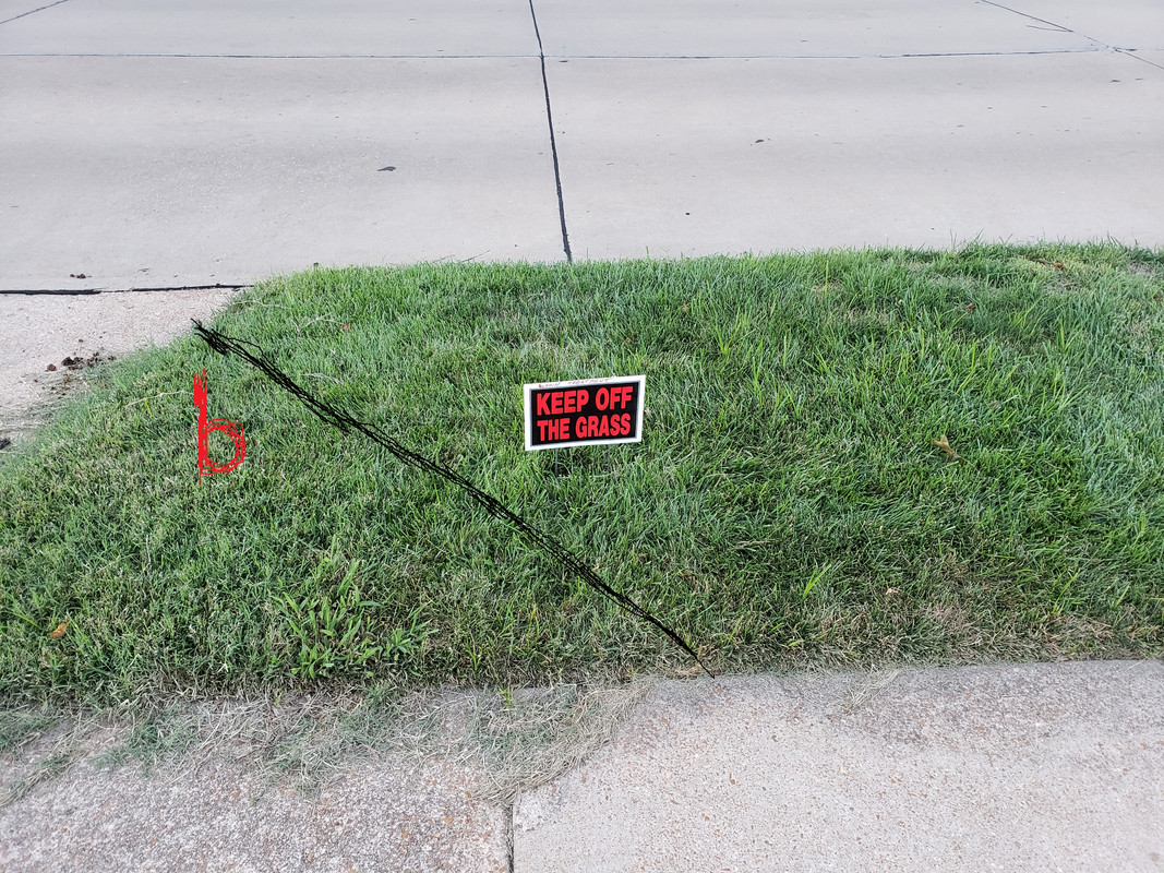 20220810_194801-bermuda