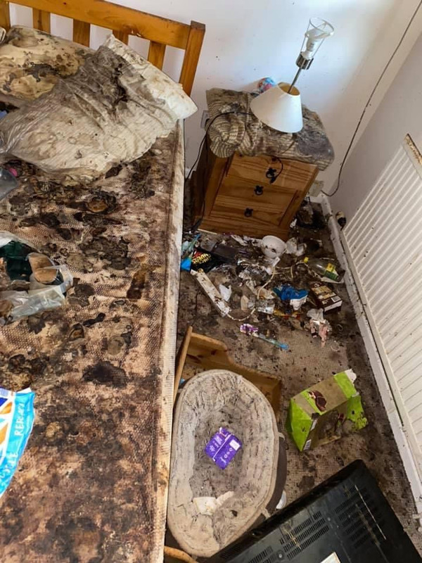 C8B90B4A-17DD-4711-AAF4-CAF0FA34FB34