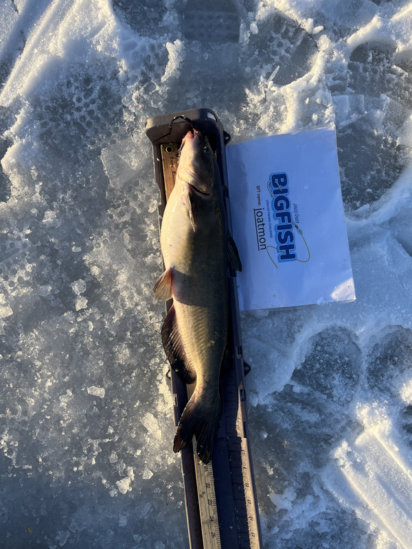 49FDEDBA-E257-4F75-AB41-93B3464DE257