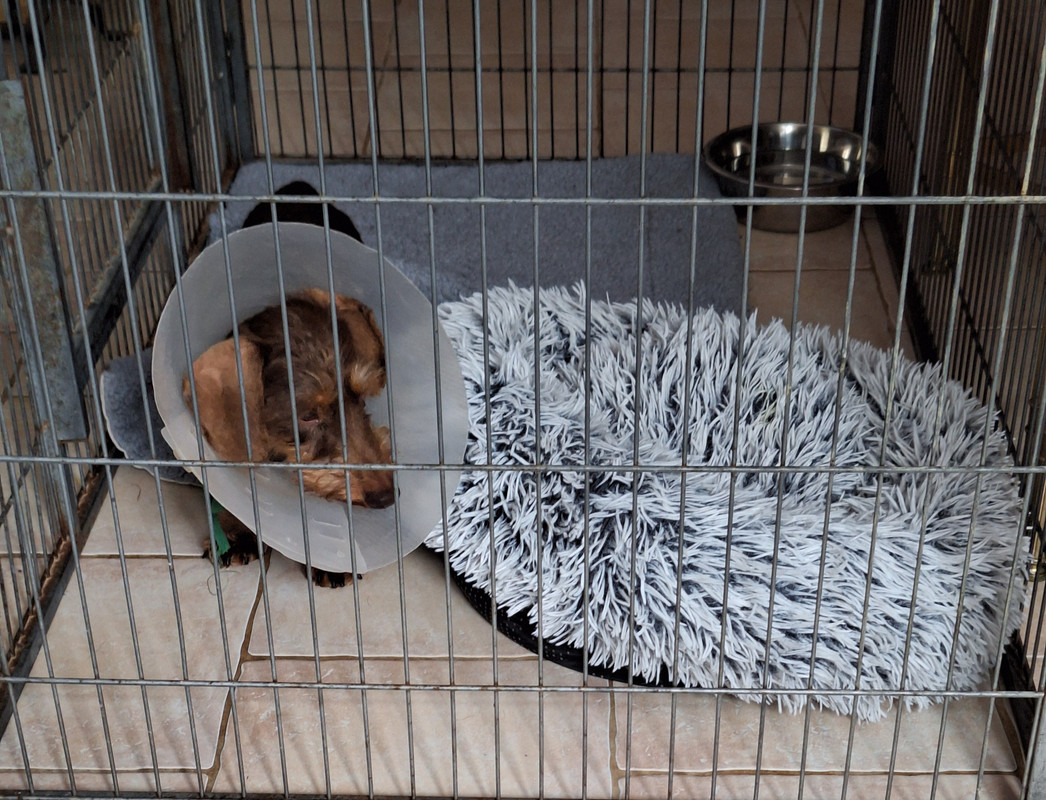 [Image: 20240712-131901.jpg]