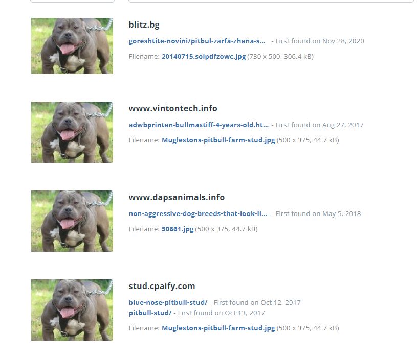 Image