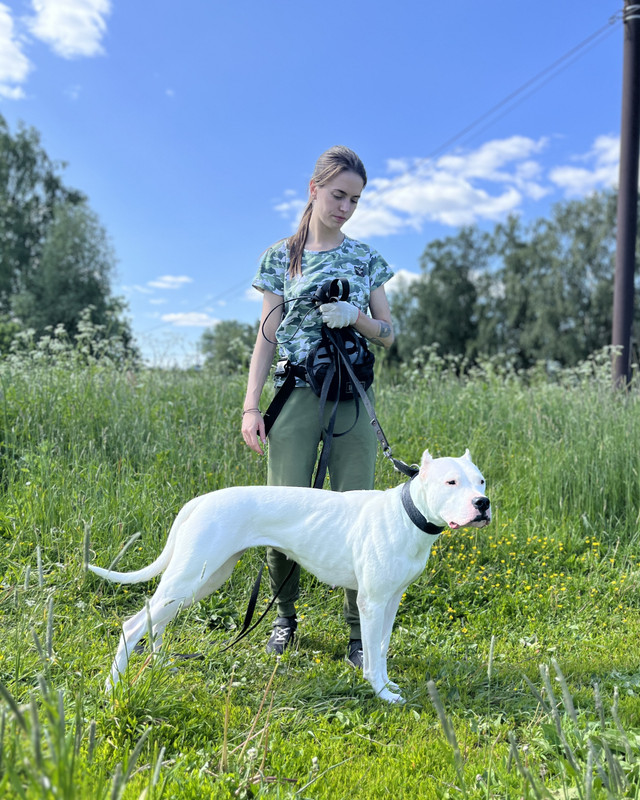 C31CEAA4-C3B7-48C5-8ACF-097F3ACE8D09