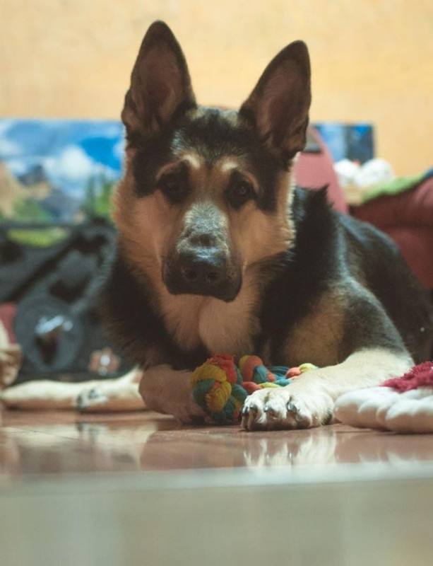 sUwvj4sk59HEoxI0KDC5GyQRv1piQy5Qis15ZFyrvw5I8PHvRuHsYFuVlqETbAc2VfPuaWnAgQNBzvRJmQw1NMkY