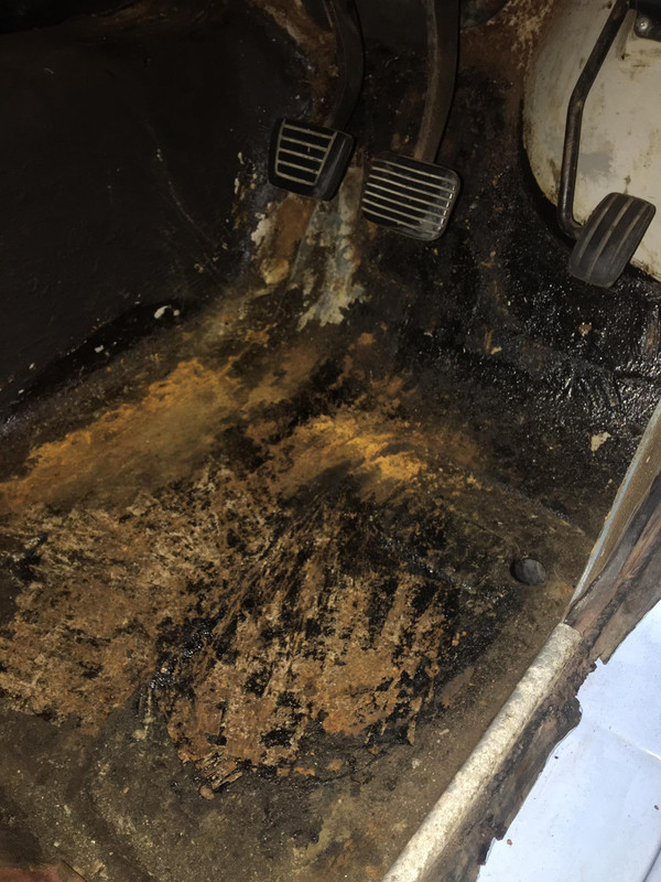 171382820_179888637180256_2644094809459176883_n