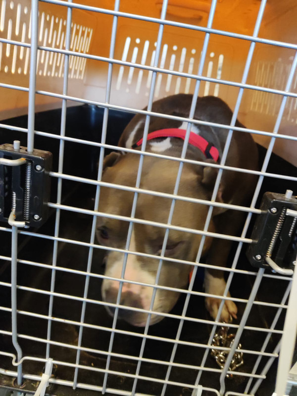 WhatsApp Image 2022-09-12 at 14.53.15 (1)