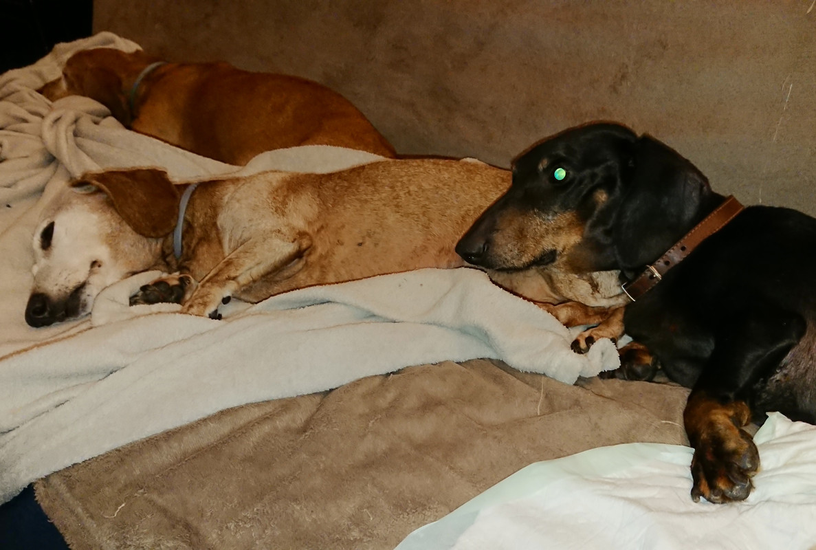 [Image: 20221116-182043.jpg]