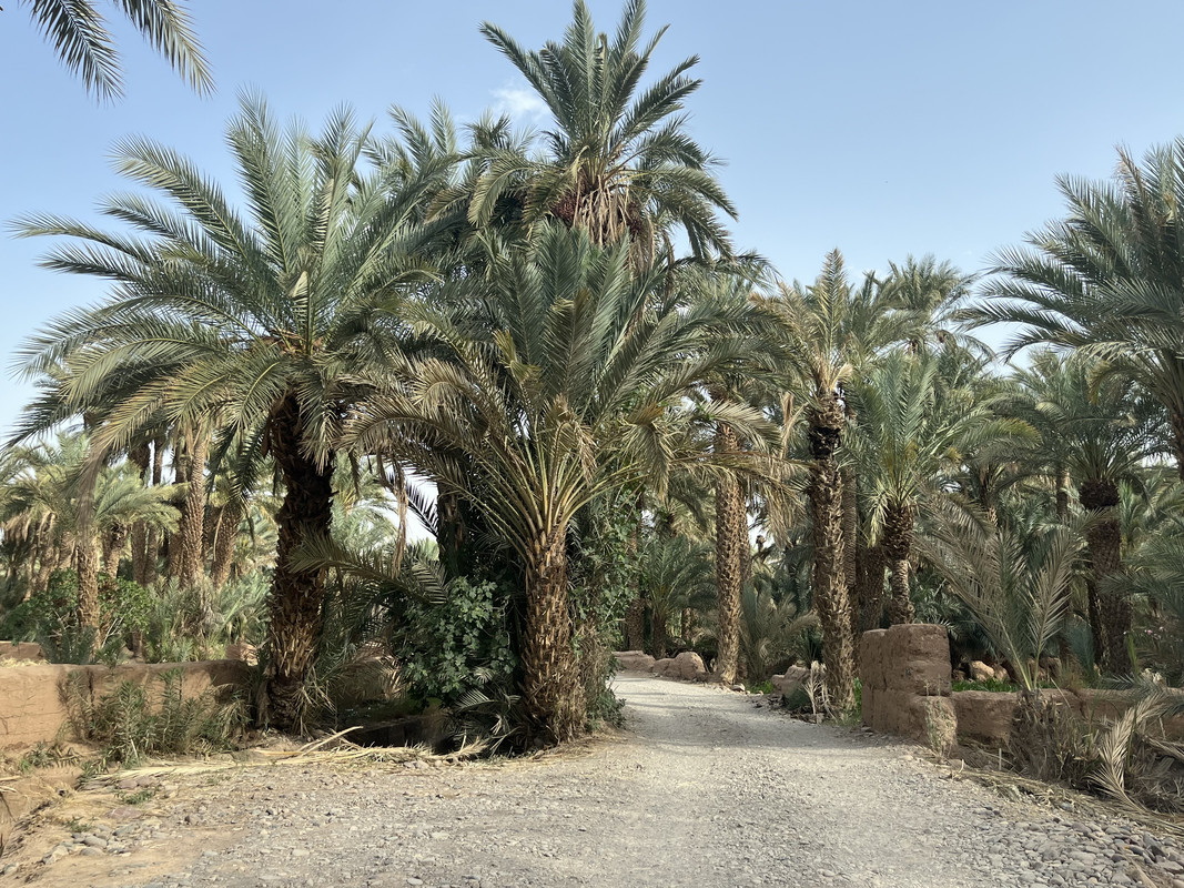 El Valle del Drâa, la gran arteria del sur de Marruecos - Blogs de Marruecos - Introducción (10)