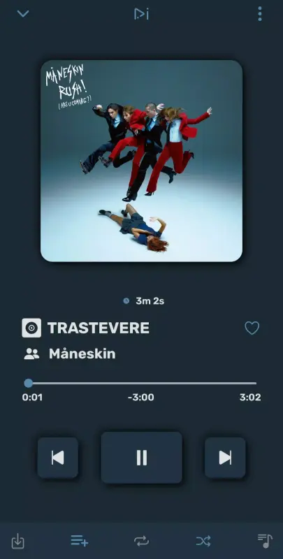 Download RiMusic APK