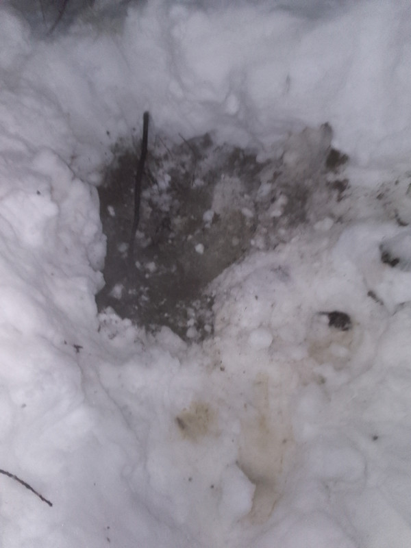 IMG 20260304 204628 863